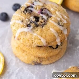 Soft Baked Blueberry Crumb Cake Cookies 13 CRUMBL blueberry crumb cake cookies