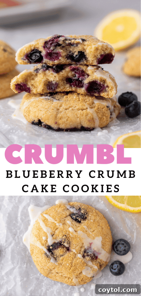 Soft Baked Blueberry Crumb Cake Cookies 15 Texture of blueberry muffin top cookies