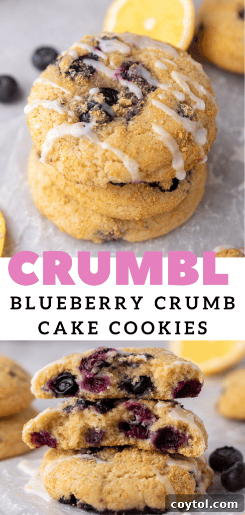 Soft Baked Blueberry Crumb Cake Cookies 16 Texture of blueberry muffin top cookies