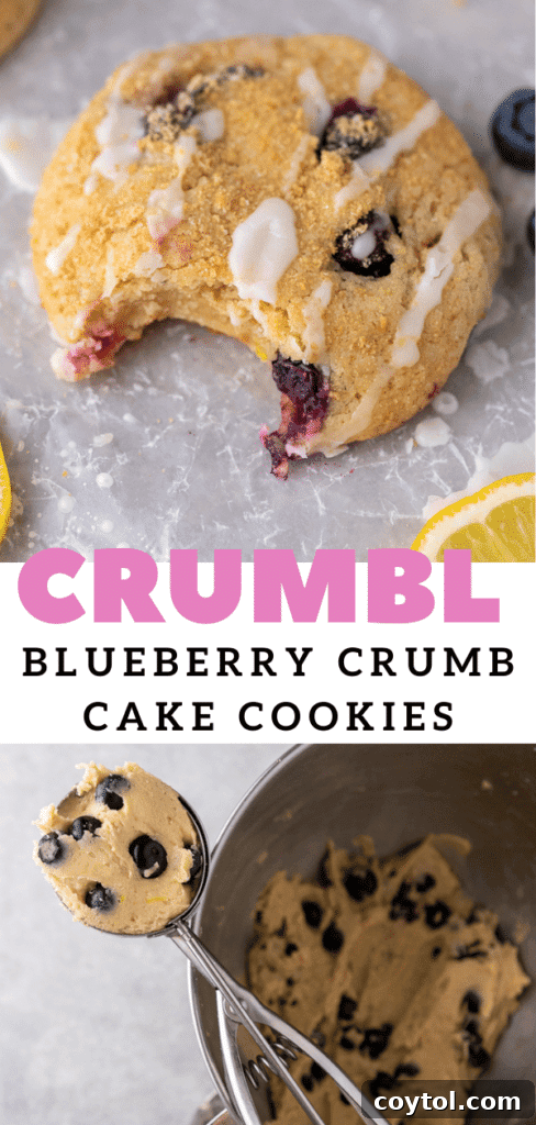 Soft Baked Blueberry Crumb Cake Cookies 17 Cakey blueberry cookies