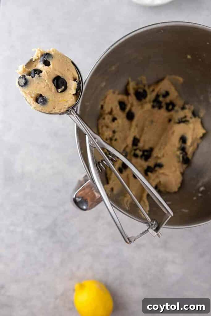Soft Baked Blueberry Crumb Cake Cookies 8 Blueberry cookie dough in a cookie scooper