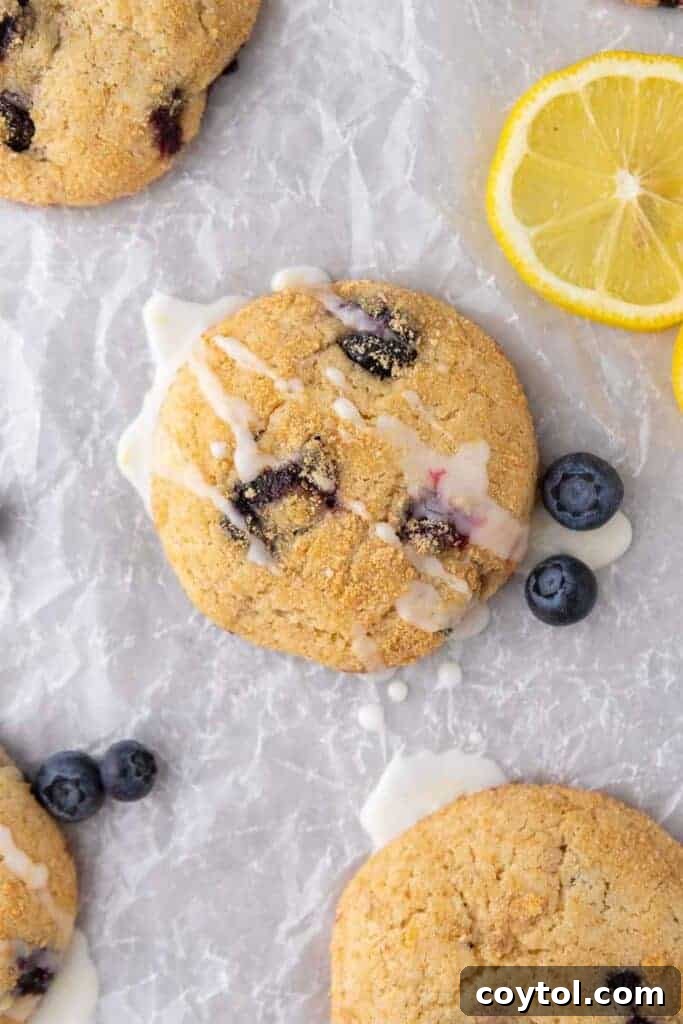 Soft Baked Blueberry Crumb Cake Cookies 10 overhead close up shot of blueberry cookies