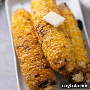 Grilled corn on the cob in the air fryer