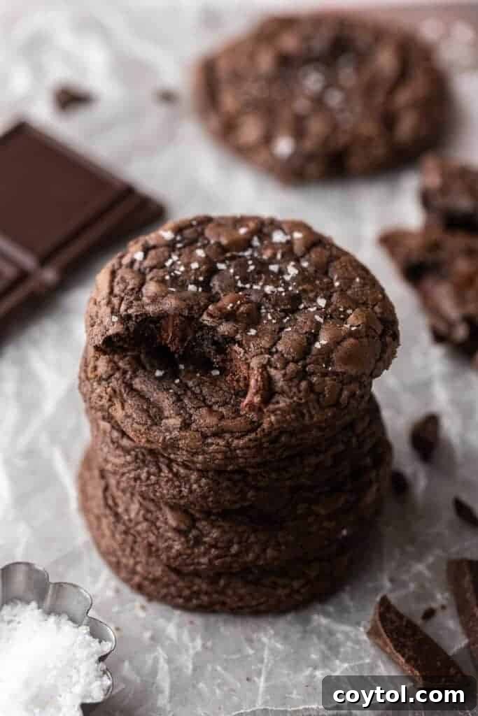 Decadent Crumbl Brownie Batter Cookies 2 Brownie mix cookies with sea salt on top, showcasing a rich, dark chocolate color and chewy texture.
