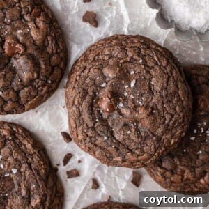 Decadent Crumbl Brownie Batter Cookies 17 Crumbl brownie batter cookies