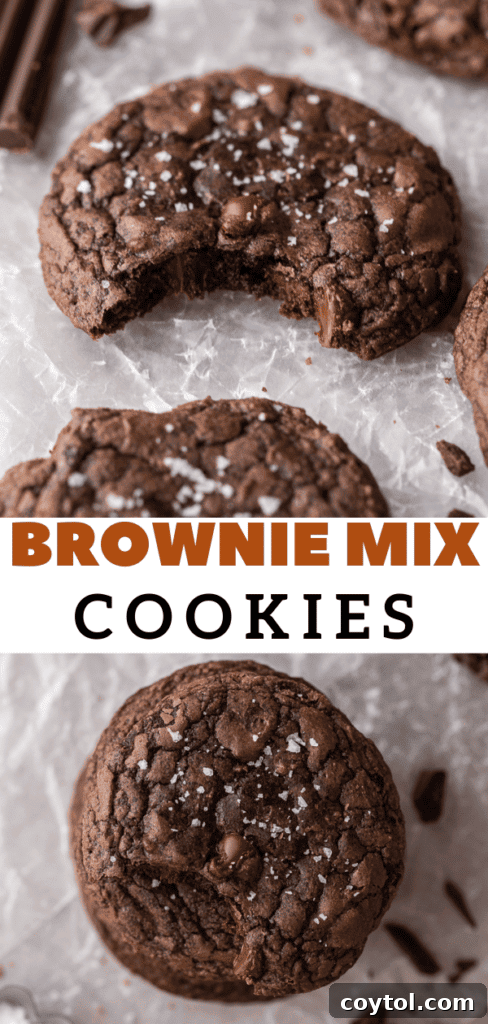Decadent Crumbl Brownie Batter Cookies 19 A beautifully baked brownie mix cookie, perfect for a quick dessert.