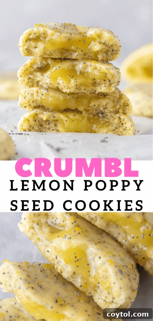 Easy poppy seed cookies