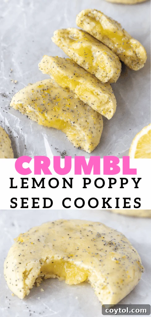 Easy CRUMBL poppy seed cookies