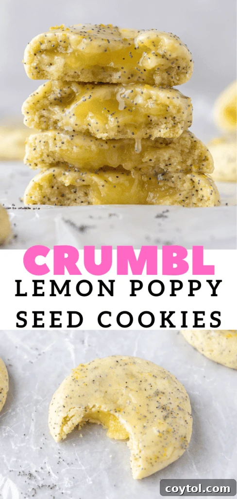 Easy CRUMBL poppy seed cookies