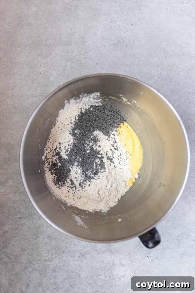 Flour and poppy seeds in mixing bowl