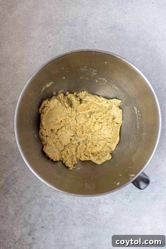 Cookie dough in stand mixer bowl
