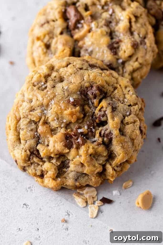 A freshly baked oatmeal chocolate chip cookie with a sprinkle of sea salt.