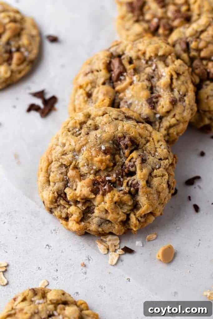Close-up of a baked toffee oatmeal cookie, showing its soft interior texture.