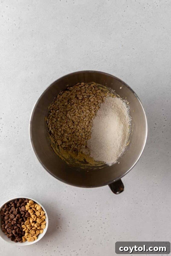 Dry ingredients like oats and flour being combined in a bowl for cookie dough.