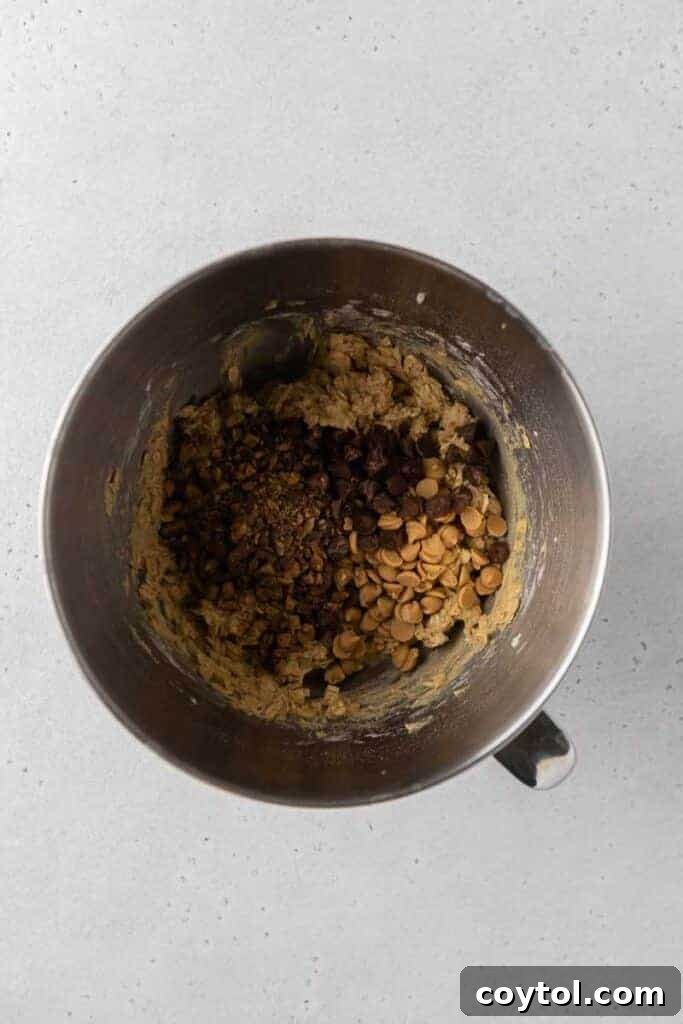 Cookie dough with chocolate chips, peanut butter chips, and toffee bits mixed in.