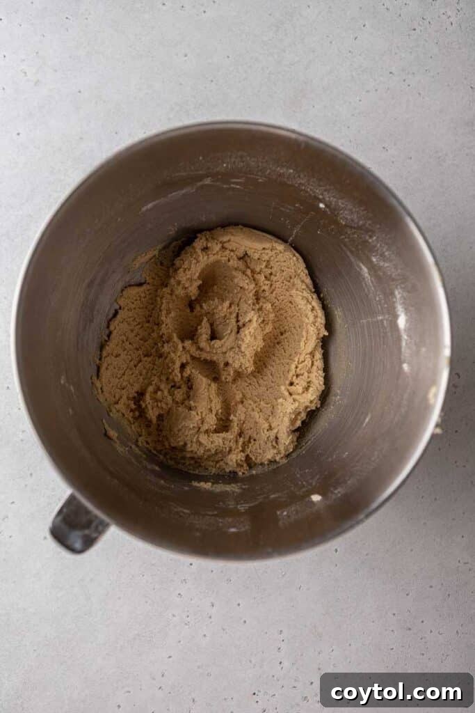 Golden Frosted Cinnamon Fry Bread Cookies 6 Step-by-step: Prepared cinnamon fry bread cookie dough, ready for shaping.