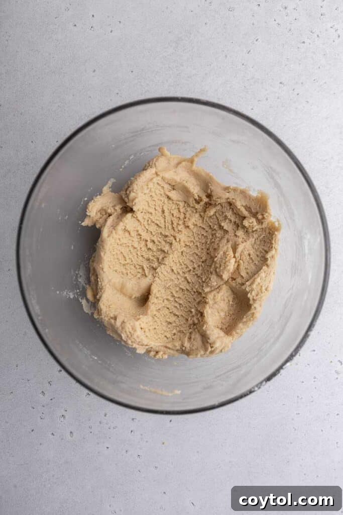 Cinnamon cookie dough