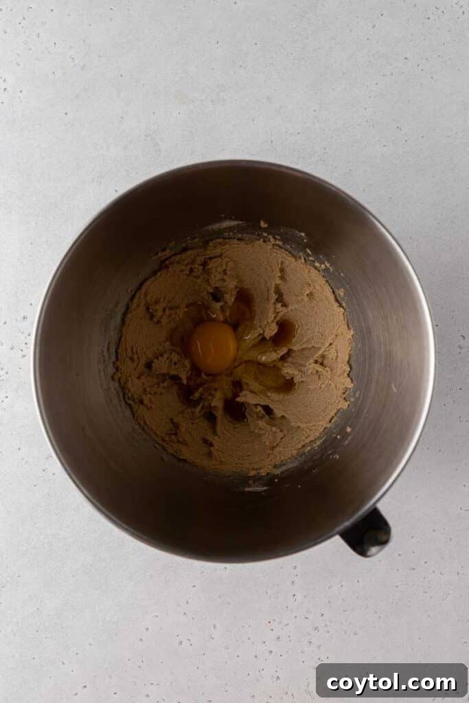 Thick Dark Dream Double Chocolate Cookies 5 Creamed butter and sugars expertly mixed with egg and vanilla in a bowl, forming the rich base for the double chocolate cookie dough.