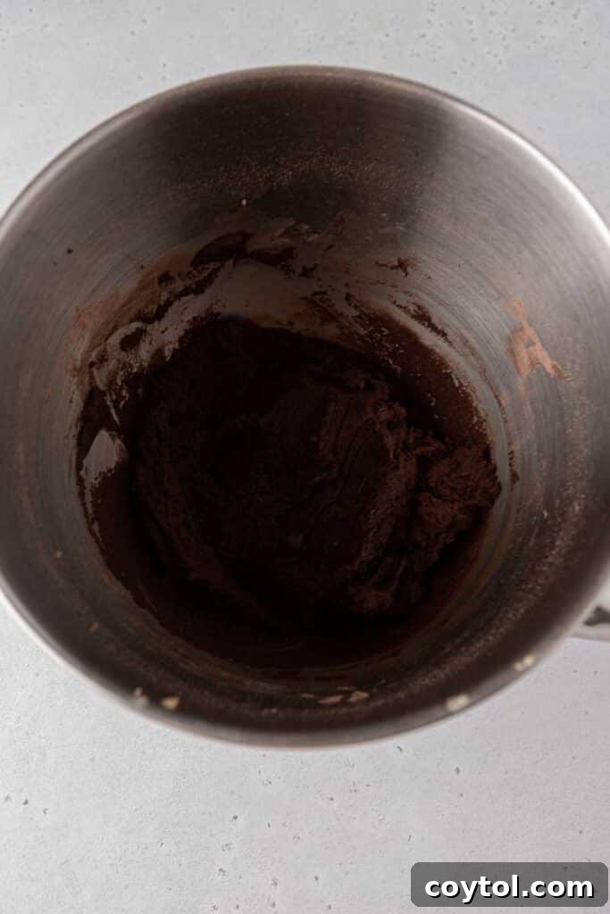 Thick Dark Dream Double Chocolate Cookies 6 Thick, dark chocolate cookie dough, perfectly mixed and ready for scooping, filling a stainless steel bowl with its rich hue.