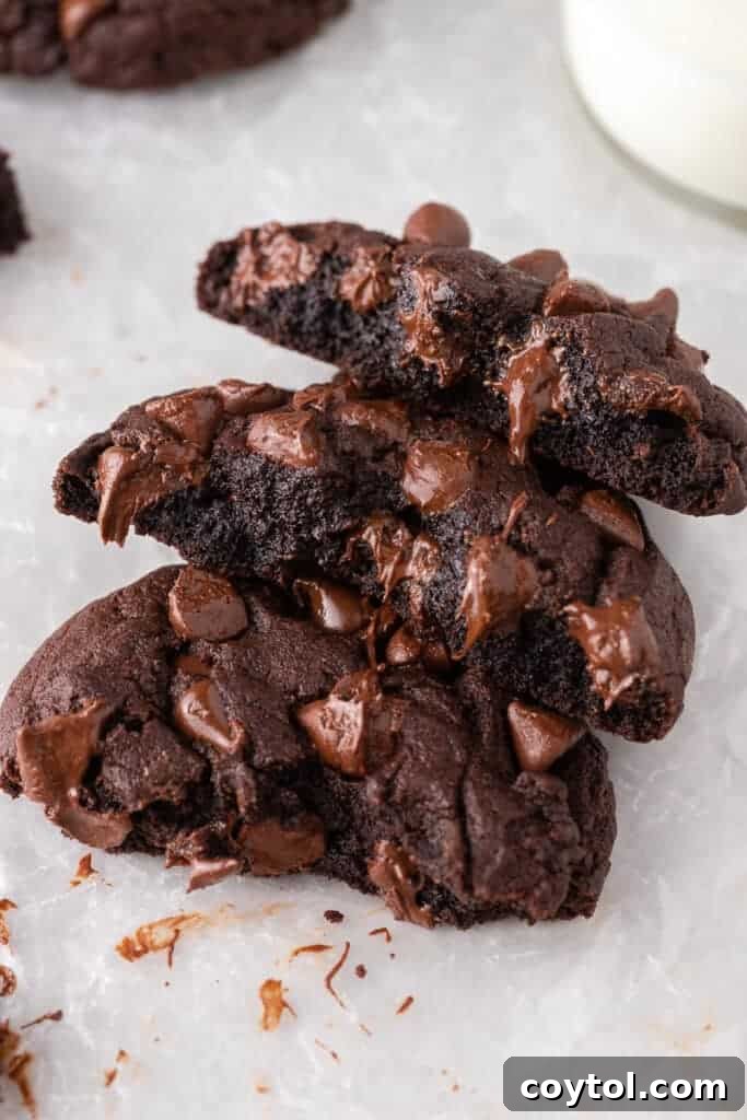 Thick Dark Dream Double Chocolate Cookies 9 A delicious assortment of thick chocolate cookies, ready to be enjoyed, showcasing their rich color and inviting texture.