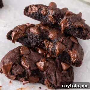 Broken double chocolate cookies with gooey melted chocolate centers.