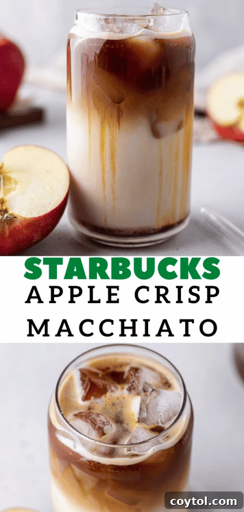 Starbucks Apple Crisp Macchiato Golden Warmth or Chilled Delight 24 Starbucks fall drinks