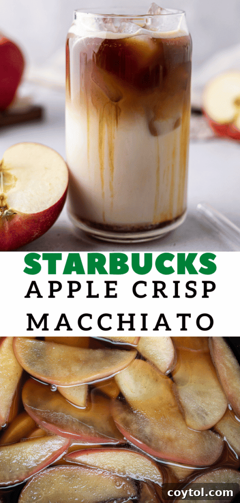 Starbucks Apple Crisp Macchiato Golden Warmth or Chilled Delight 25 Starbucks fall macchiato