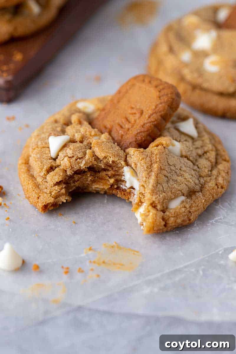 Crumbl-style Biscoff White Chip Cookies, chewy cookie butter cookies loaded with white chocolate chips and topped with a Biscoff cookie.