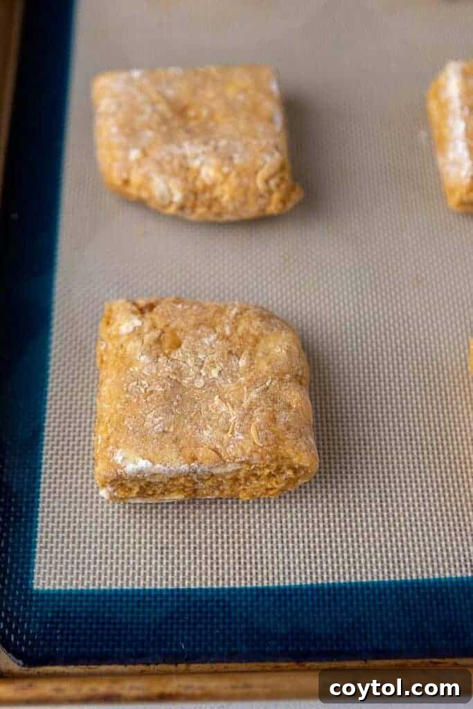 Pumpkin scone dough cut into rectangular shapes