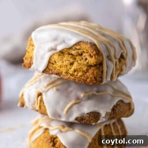 Starbucks Pumpkin scones
