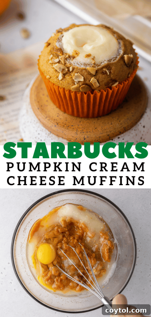 Starbucks Dupe Pumpkin Cream Cheese Muffins 18 Starbucks pumpkin cream cheese muffins