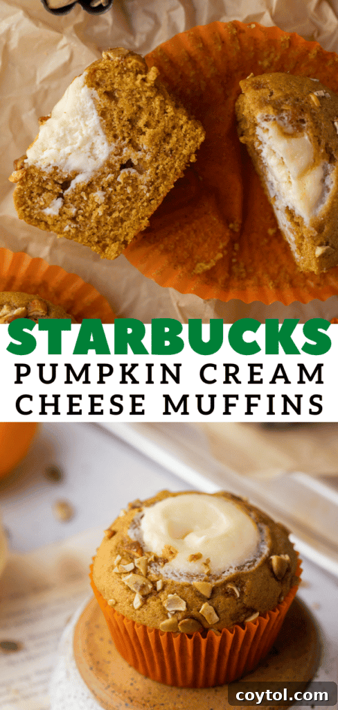 Starbucks Dupe Pumpkin Cream Cheese Muffins 20 Starbucks pumpkin cream cheese muffins