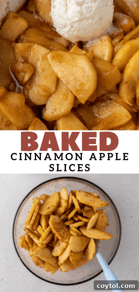 fall desserts idea with baked cinnamon apples