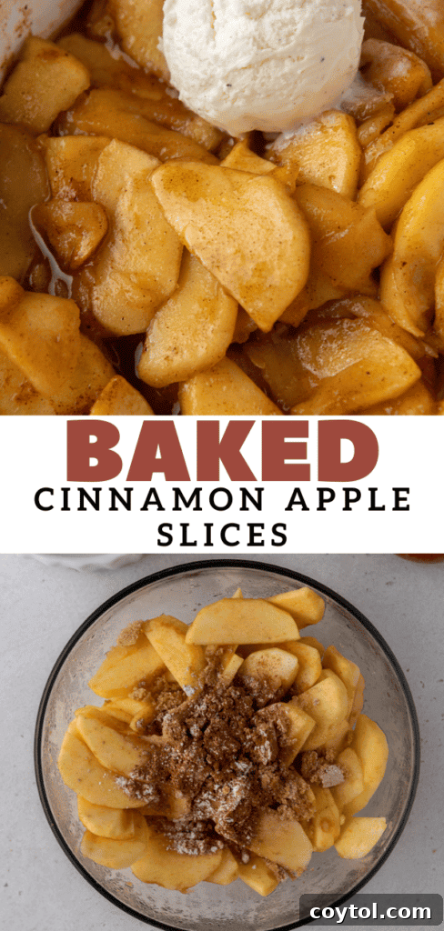 autumn dessert inspiration with baked apples