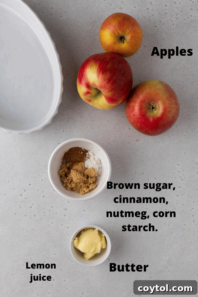 Ingredients for baking cinnamon apples