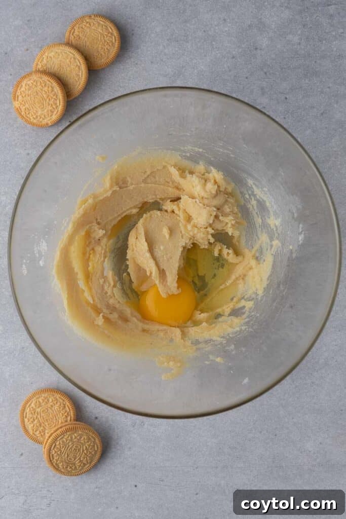 Creamed butter and sugars with an egg and vanilla in a mixing bowl
