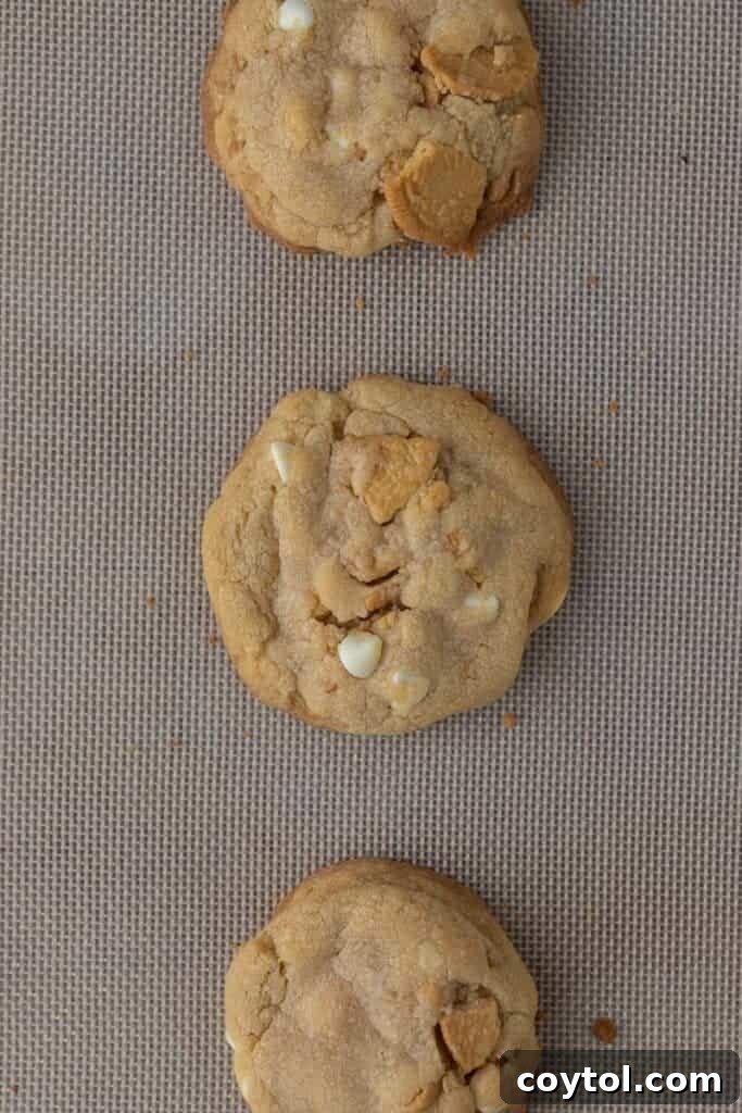 Baked Golden Oreo cookies cooling on a baking sheet lined with parchment paper