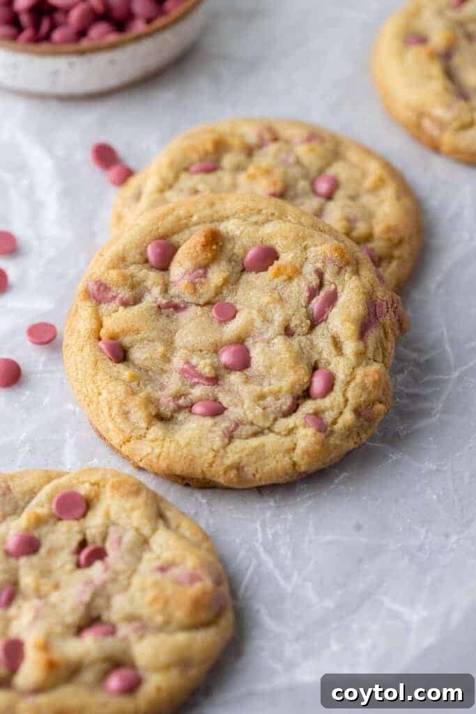 A plate of giant ruby chocolate chip cookies, ready to be served