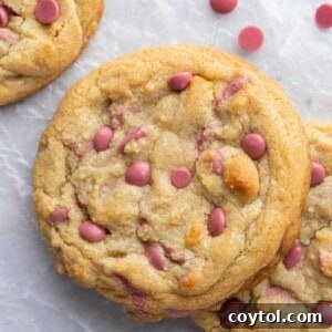 Overhead shot of thick ruby chocolate chip cookies, indicating a recipe card