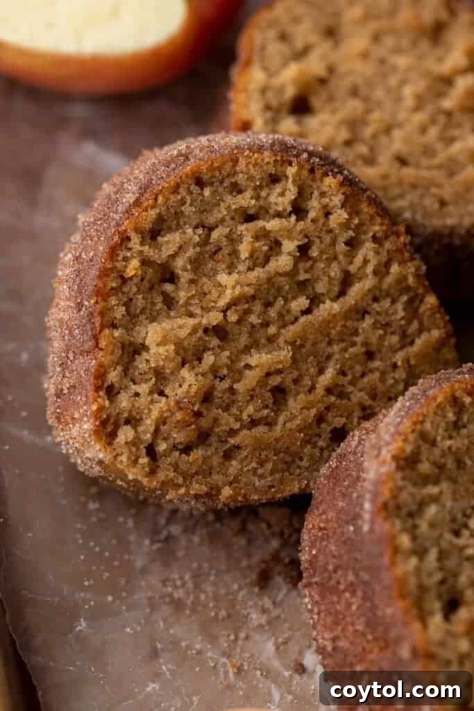 A close-up of a perfectly sliced Apple Cider Donut Bundt Cake, showcasing its remarkably soft, tender, and moist crumb. The cake is generously coated with a glistening cinnamon-sugar crust, hinting at its irresistible flavor and delightful texture. This image highlights the inviting warmth and cozy spice of a quintessential fall dessert.