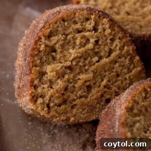 Close-up of a slice of apple cider donut bundt cake showing its soft, moist, tender crumb and cinnamon-sugar coating.