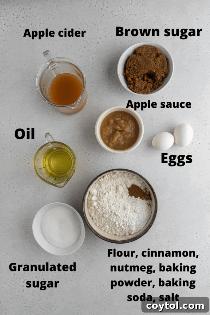 A beautiful flat lay photograph showcasing all the essential ingredients needed for this apple cider donut bundt cake. Key components like fresh apple cider, rich brown sugar, smooth applesauce, various oils, farm-fresh eggs, granulated sugar, all-purpose flour, fragrant cinnamon, earthy nutmeg, baking powder, baking soda, and a pinch of salt are neatly arranged, ready for baking.
