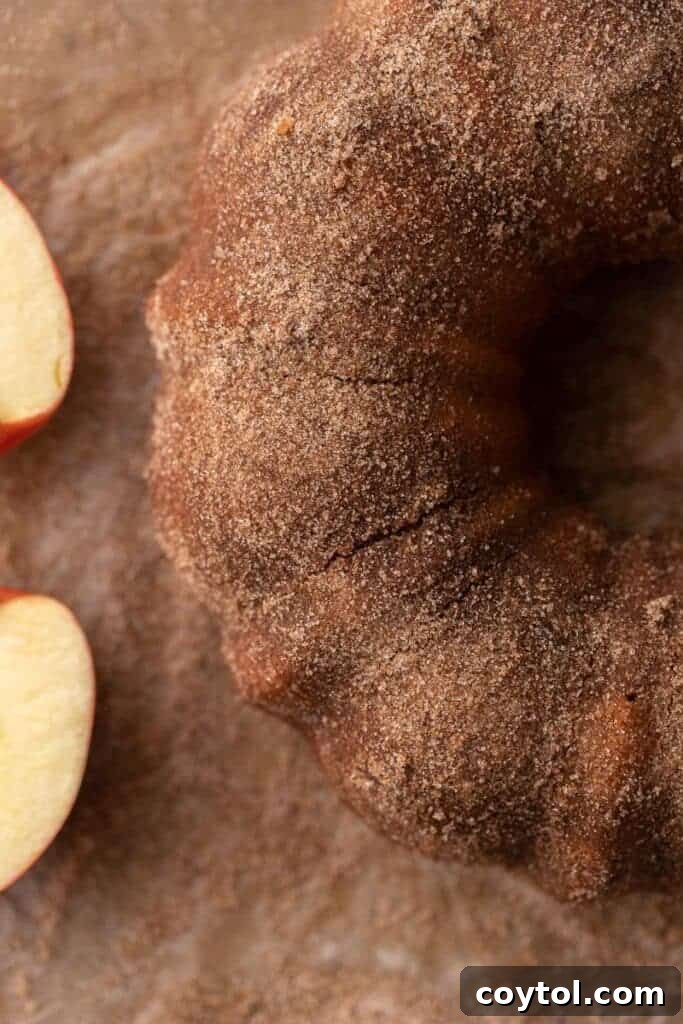 A close-up shot of the finished apple cider donut bundt cake, sumptuously coated in a thick, crunchy layer of cinnamon sugar, showcasing its inviting texture and irresistible appearance.