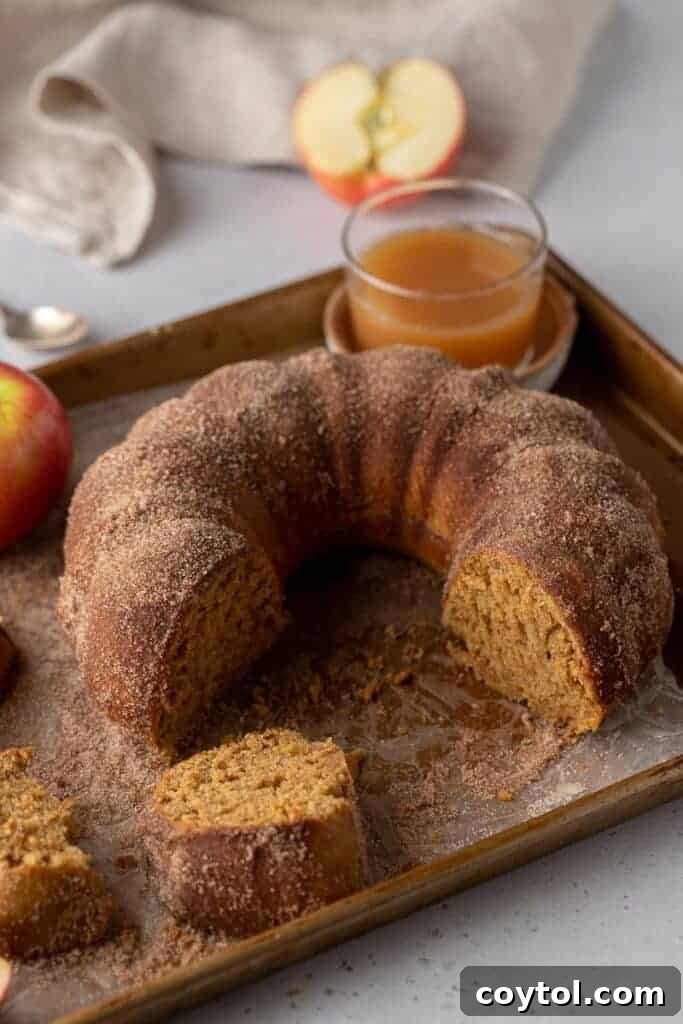 A beautifully presented apple cider donut bundt cake, sliced and arranged on a rustic tray. The cake pieces are adorned with cinnamon sugar, and fresh apples are scattered around, creating an inviting and wholesome fall dessert display.