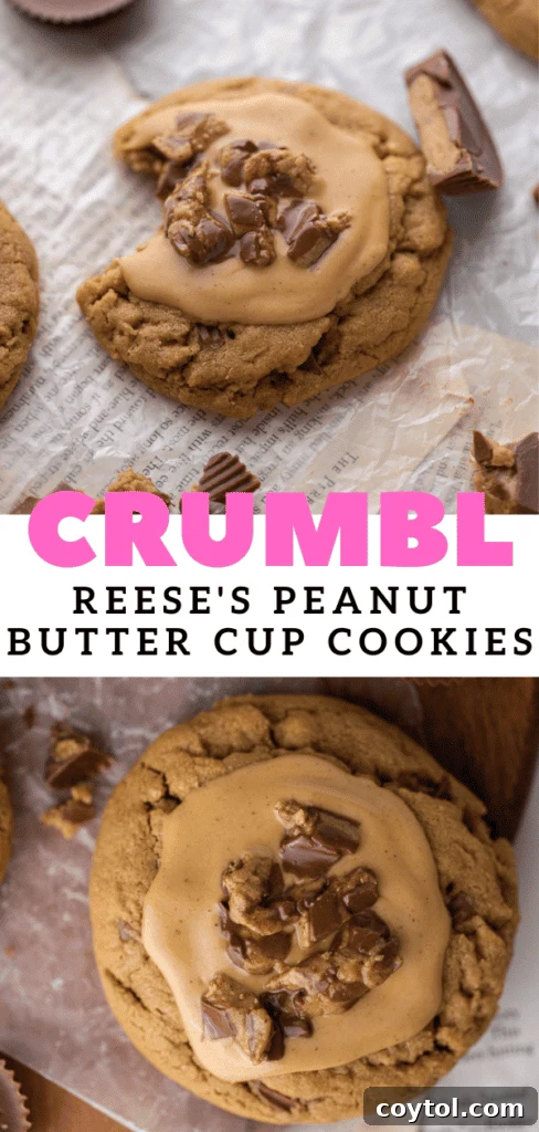 Thick Reese's cookies - a close-up showing the cookie's thickness and texture.