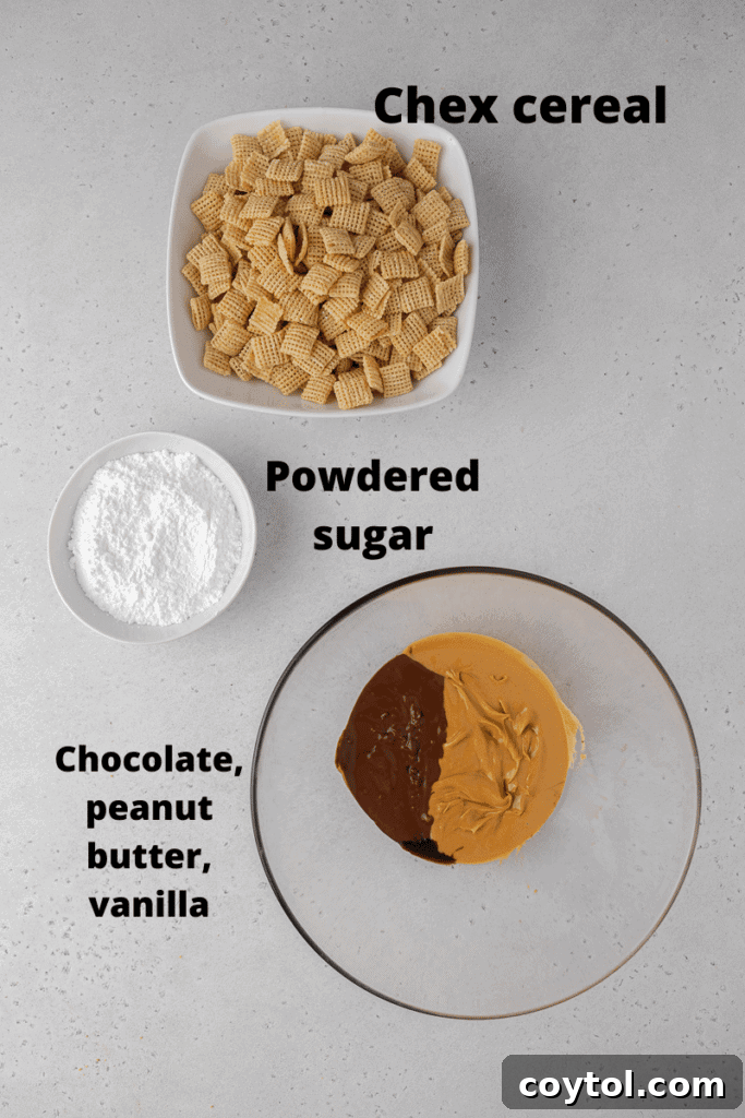 Chex cereal, powdered sugar, and melted chocolate-peanut butter mixture in bowls for making an easy snack