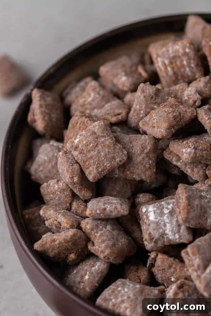 Close-up view of muddy buddies with powdered sugar coating