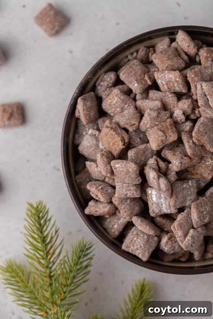 Bowl of homemade puppy chow surrounded by festive greenery, making it perfect for Christmas gifting and holiday parties.