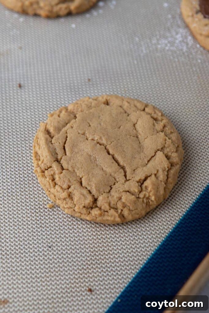 Freshly baked peanut butter cookie on a parchment-lined baking sheet