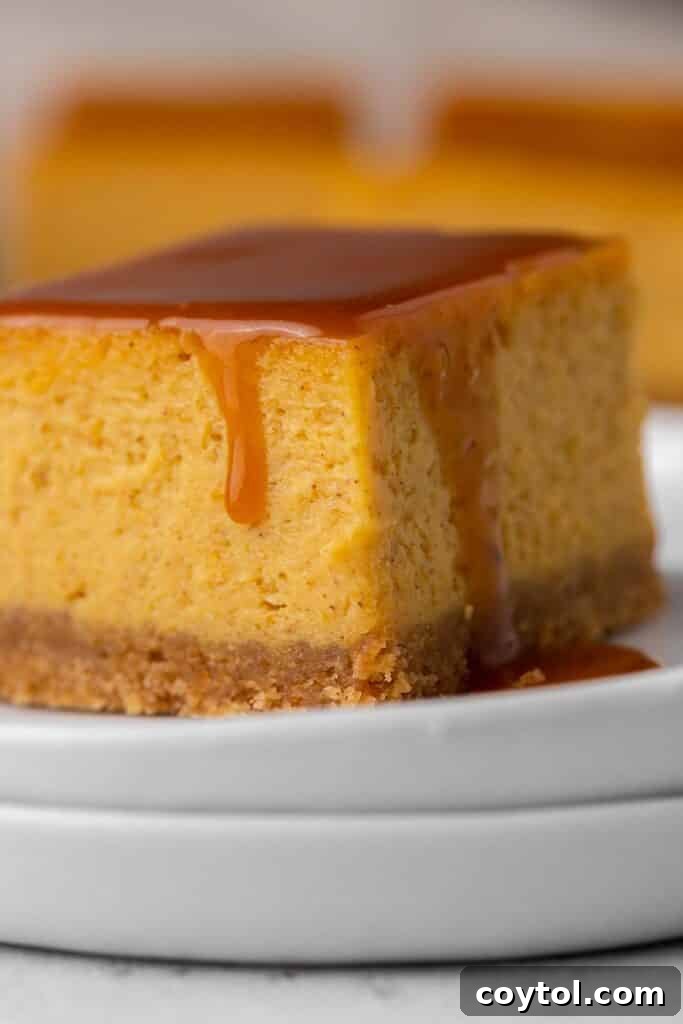 Close-up of a pumpkin cheesecake bar with caramel drizzle, showcasing its creamy texture and crust.